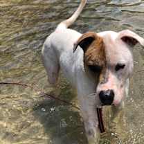 Thumbnail photo of Rayse #2