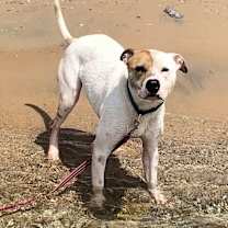 Thumbnail photo of Rayse #3