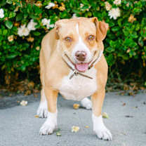 Thumbnail photo of Shirley #1