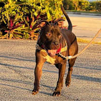 Thumbnail photo of Elliot #2