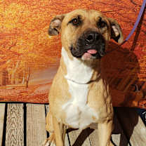 Thumbnail photo of Quinn #2