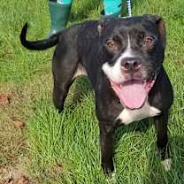 Thumbnail photo of Laila #2