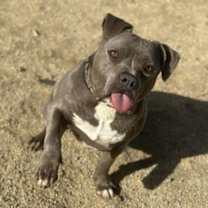Thumbnail photo of Mercury #1