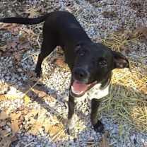 Thumbnail photo of Buford #1
