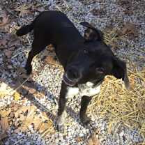 Thumbnail photo of Buford #2