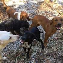 Thumbnail photo of Buford #3