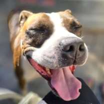 Thumbnail photo of Mugsy #3