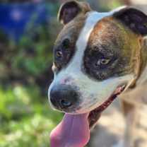 Thumbnail photo of Mugsy #4