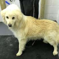 Thumbnail photo of Vance #4