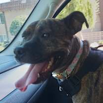Thumbnail photo of Zena #1