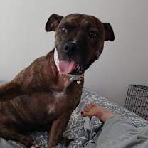 Thumbnail photo of Zena #2