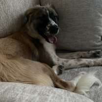 Thumbnail photo of Trooper #2
