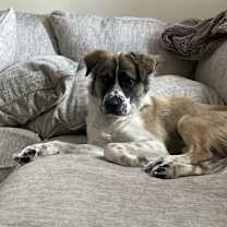 Thumbnail photo of Trooper #3