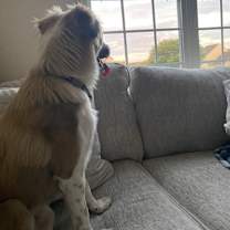 Thumbnail photo of Trooper #4