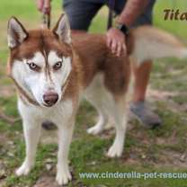 Thumbnail photo of Titan #2