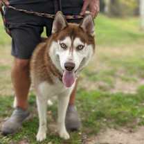 Thumbnail photo of Titan #3