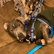 Thumbnail photo of Jefferson #1