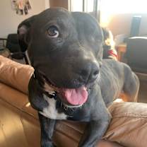Thumbnail photo of Moxie #1