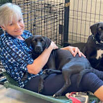 Thumbnail photo of Asher / Opal #2