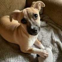 Thumbnail photo of Evie #1