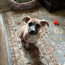 Thumbnail photo of Evie #3