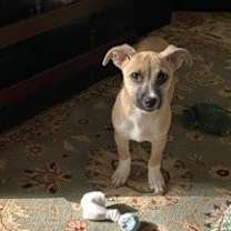 Thumbnail photo of Evie #4
