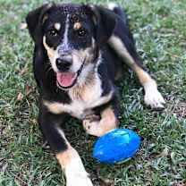 Thumbnail photo of Roscoe P Coltrane #2