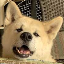 Thumbnail photo of Hiro (Hiroshima) #3