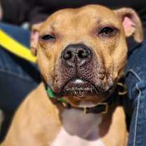 Thumbnail photo of Java #1