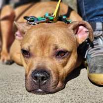 Thumbnail photo of Java #2