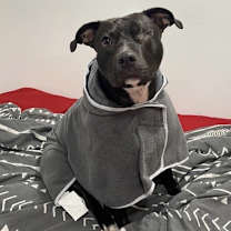 Thumbnail photo of Moxie #4