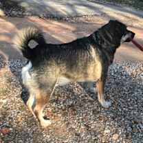 Thumbnail photo of Dexter W. #2