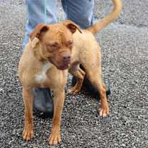 Thumbnail photo of Hutch #2