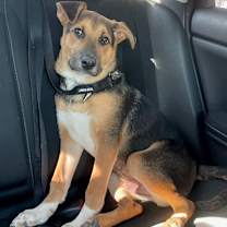 Thumbnail photo of Max #3