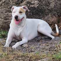 Thumbnail photo of Tillie #2