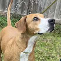 Thumbnail photo of Remi #1