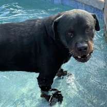 Thumbnail photo of Bronson #2