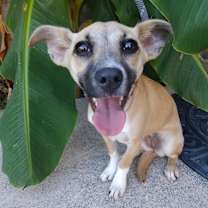 Thumbnail photo of Evie #1