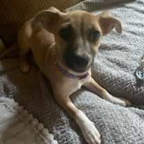 Thumbnail photo of Evie #3