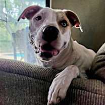 Thumbnail photo of Tillie #4