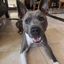 Thumbnail photo of Benny #1