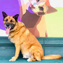 Thumbnail photo of Sampson #4