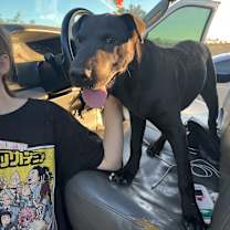 Thumbnail photo of Hank #2