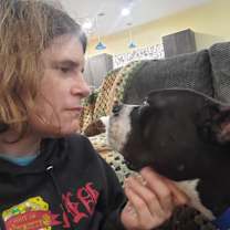 Thumbnail photo of Gracie - PORTAGE, IN #3
