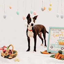 Thumbnail photo of Otto #2
