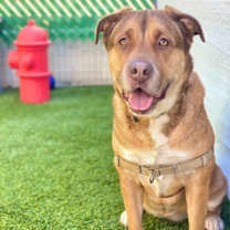 Thumbnail photo of Cloe #2