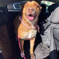Thumbnail photo of Cloe #3