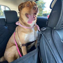 Thumbnail photo of Cloe #4