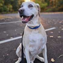 Thumbnail photo of Grover #2