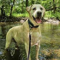 Thumbnail photo of Grover #3